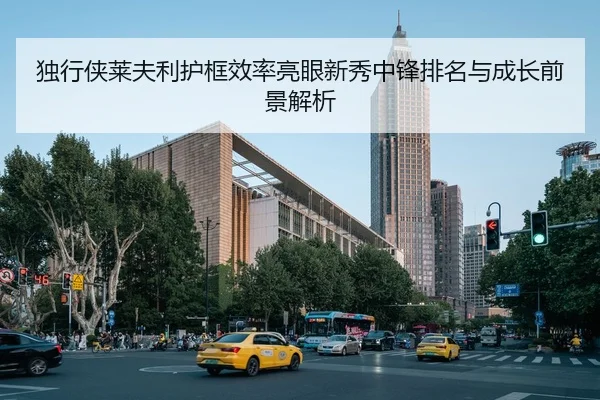 独行侠莱夫利护框效率亮眼新秀中锋排名与成长前景解析