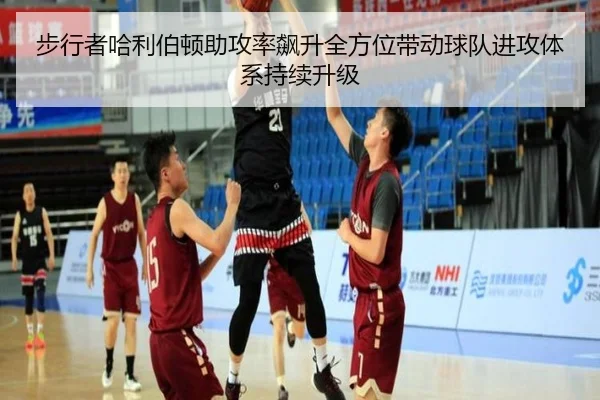 步行者哈利伯顿助攻率飙升全方位带动球队进攻体系持续升级 | okooo