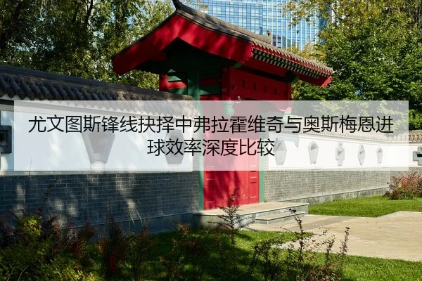 尤文图斯锋线抉择中弗拉霍维奇与奥斯梅恩进球效率深度比较 | okooo